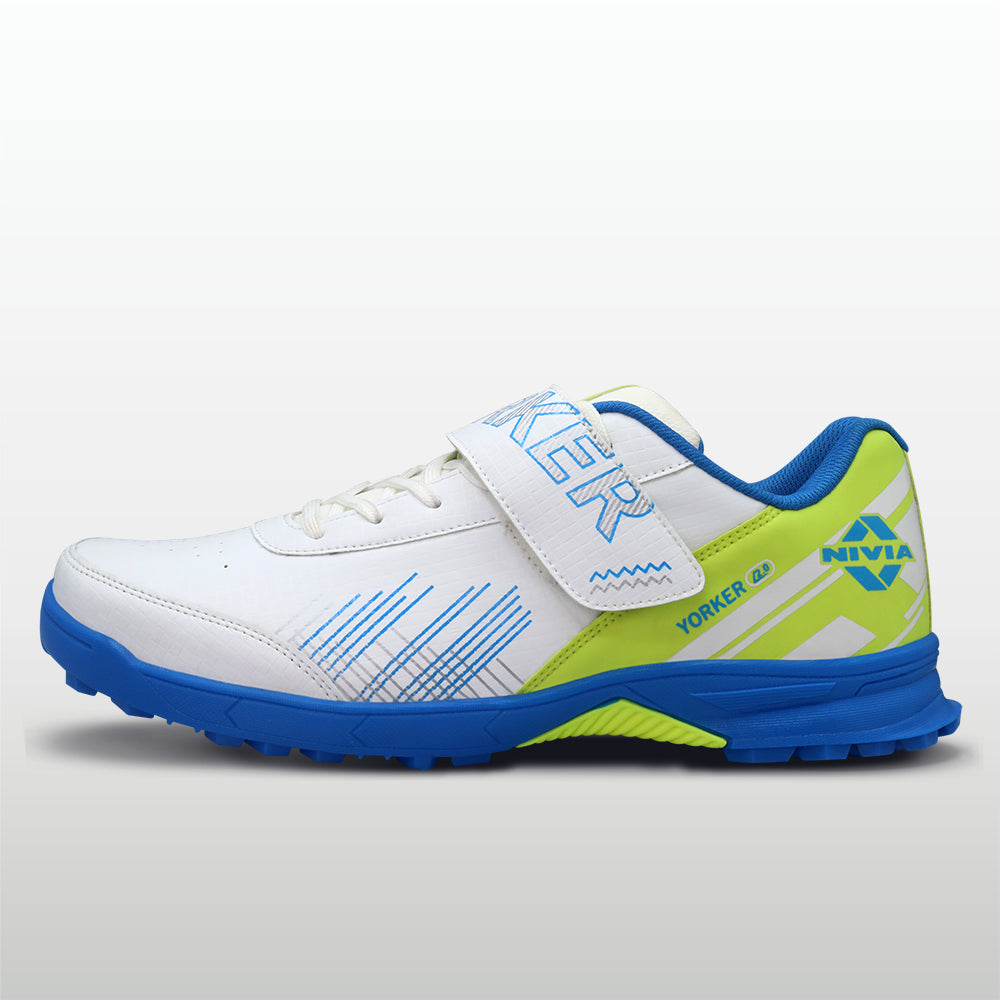 Blue/Lime